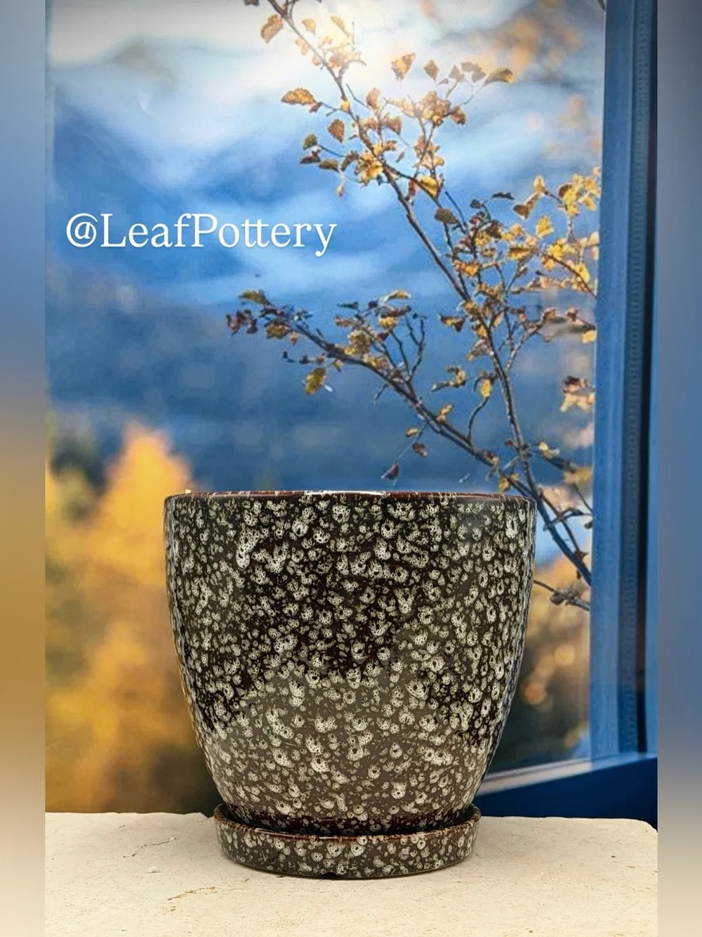 8 Inch Ceramic Planter with Attached Saucer & Drainage Hole | Speckled Brown Pot